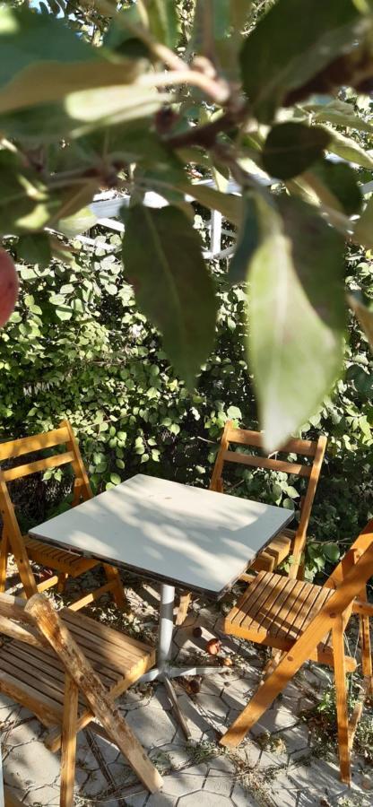 Guesthouse Kishimzhan Talas 외부 사진
